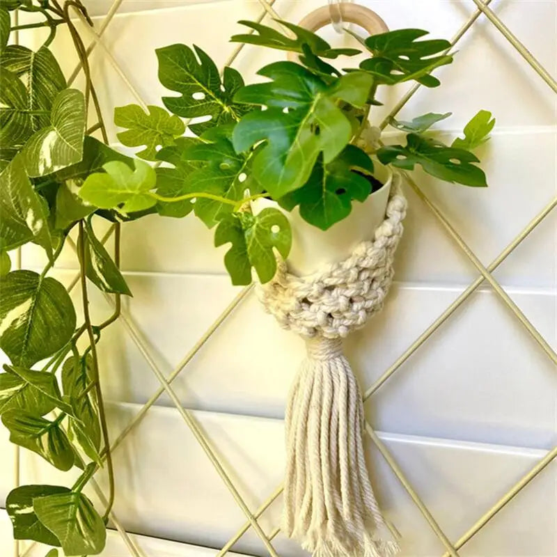 Colorful Macrame Wall Hanging Plant Holder